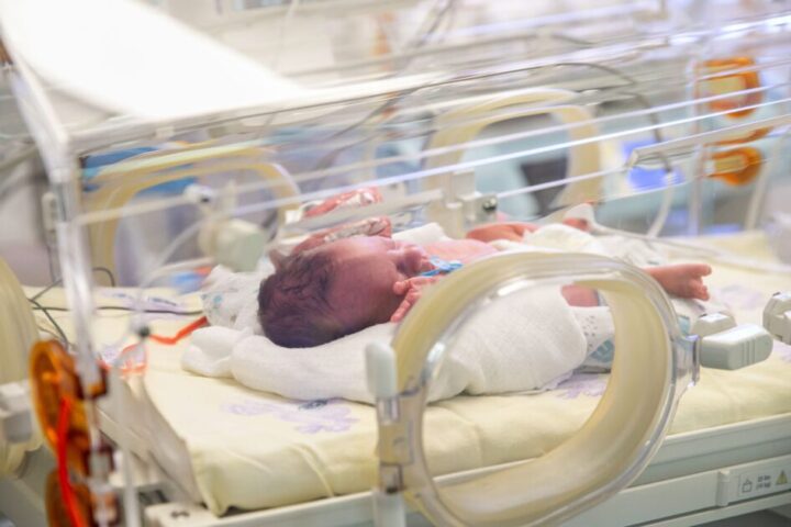 neonato