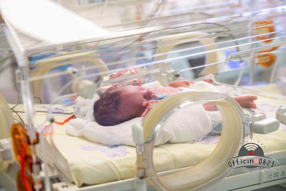 neonato