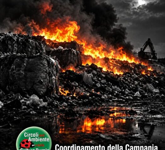CampaniaBrucia (1)