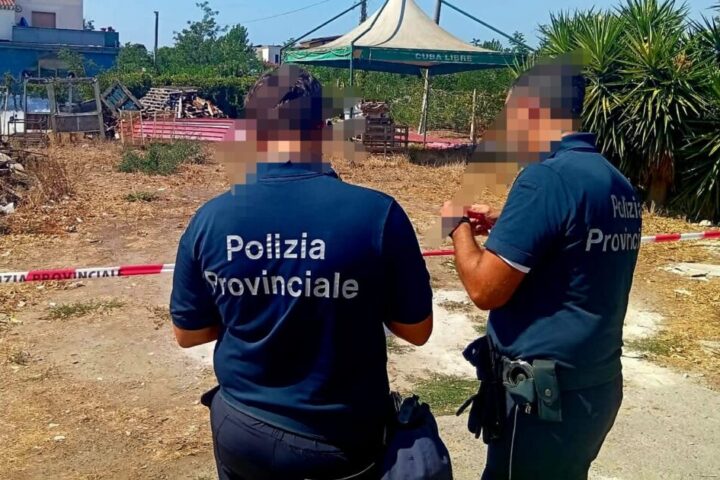 polprovautolavaggio (2)