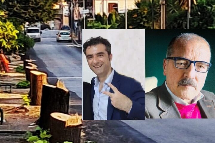 Tigli Scoglio e ZAnni