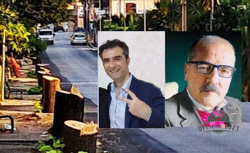 Tigli Scoglio e ZAnni